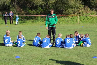 爱游戏平台-教练团队战术调整助力比赛胜利，教练布置战术  第3张